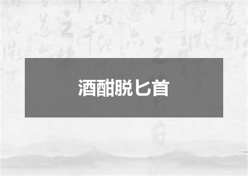 酒酣脱匕首