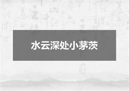 水云深处小茅茨