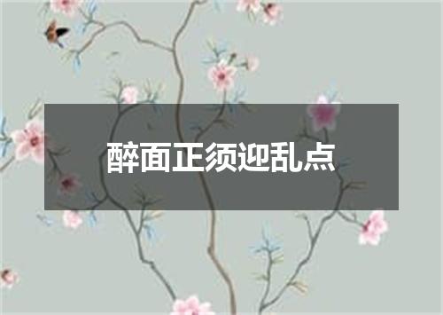 醉面正须迎乱点