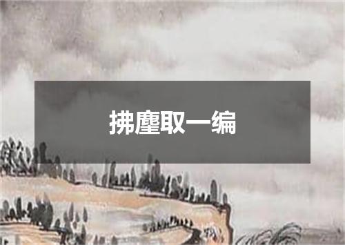 拂麈取一编