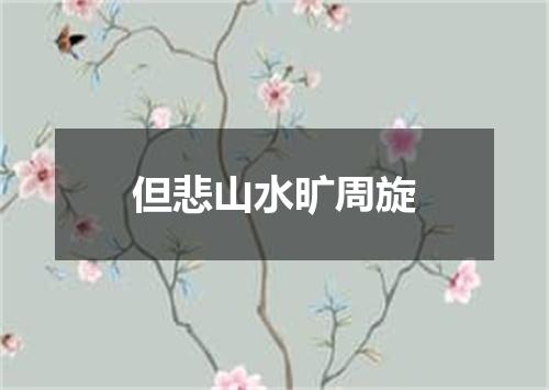 但悲山水旷周旋