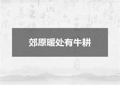 郊原暖处有牛耕