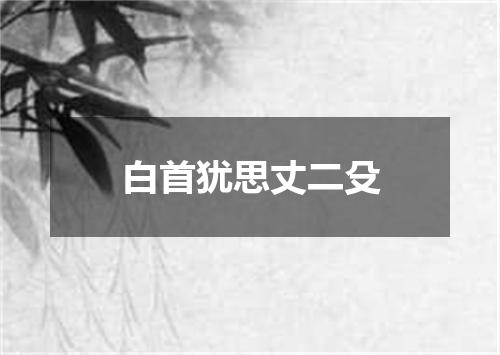 白首犹思丈二殳