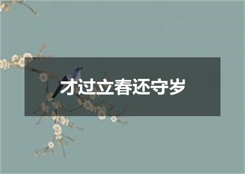 才过立春还守岁