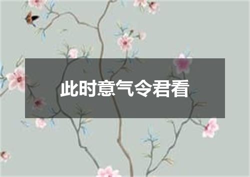 此时意气令君看