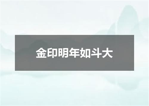 金印明年如斗大