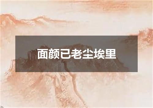 面颜已老尘埃里