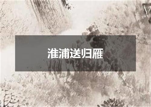 淮浦送归雁