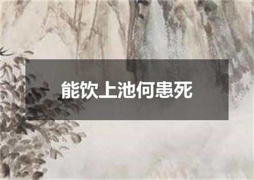 能饮上池何患死