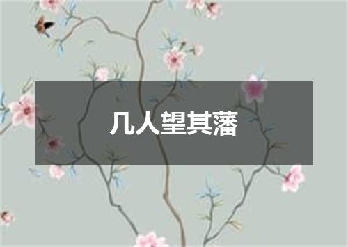 几人望其藩