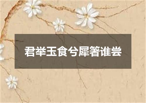 君举玉食兮犀箸谁尝