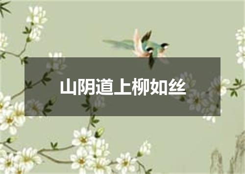 山阴道上柳如丝