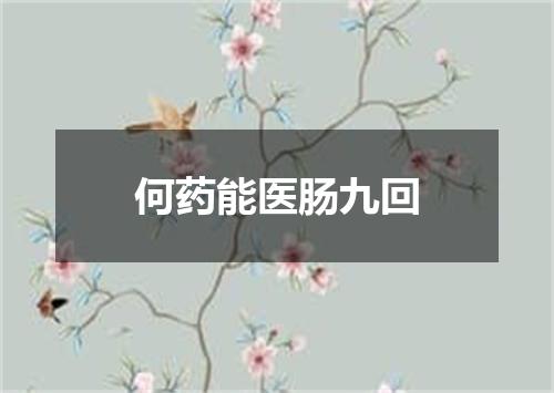 何药能医肠九回
