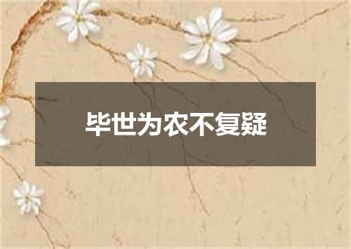 毕世为农不复疑