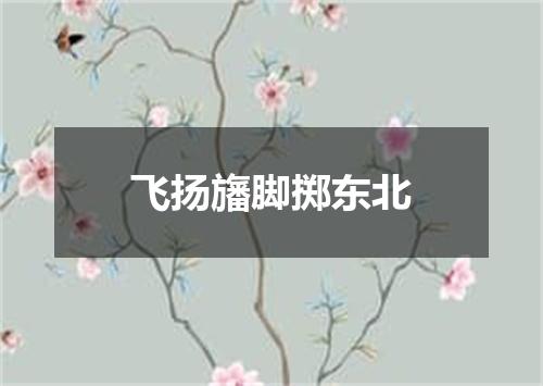 飞扬旛脚掷东北