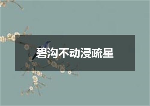碧沟不动浸疏星