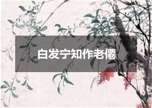 白发宁知作老僊