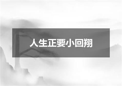 人生正要小回翔