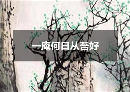 一庵何日从吾好
