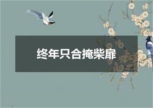 终年只合掩柴扉