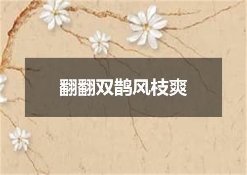 翻翻双鹊风枝爽
