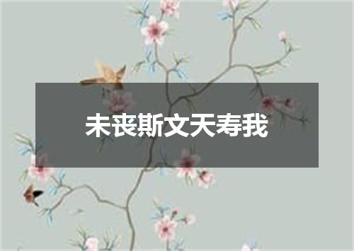 未丧斯文天寿我