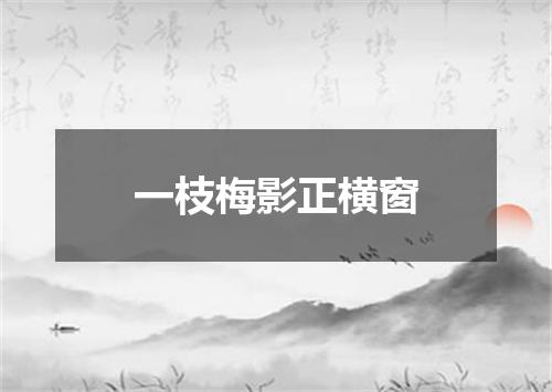 一枝梅影正横窗
