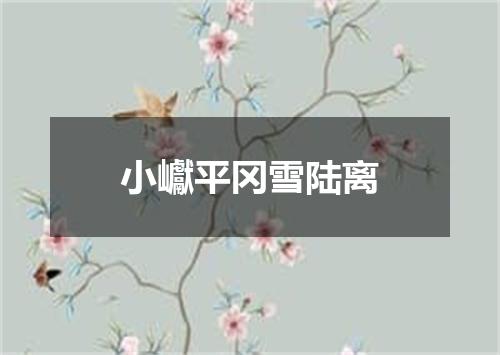 小巘平冈雪陆离