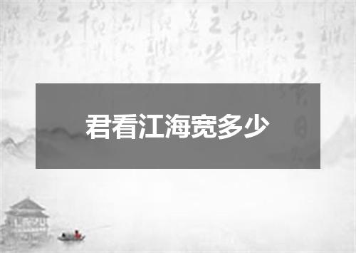 君看江海宽多少