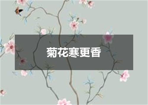 菊花寒更香