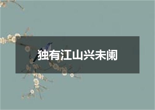 独有江山兴未阑