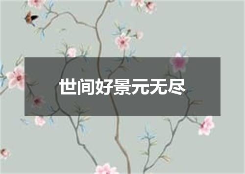 世间好景元无尽