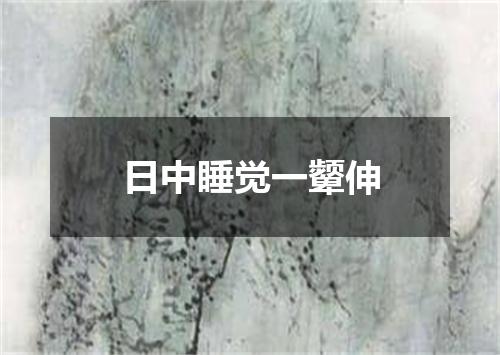 日中睡觉一颦伸
