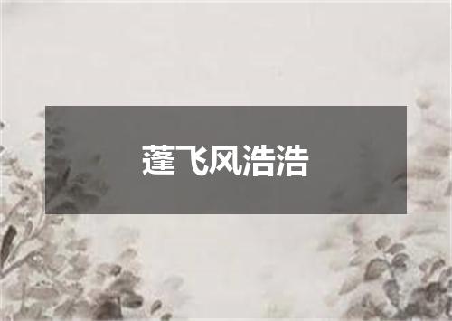 蓬飞风浩浩