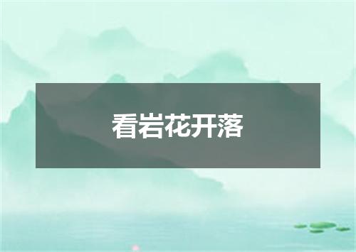 看岩花开落