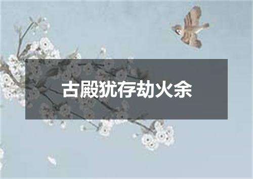 古殿犹存劫火余
