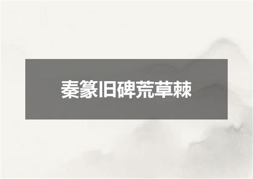秦篆旧碑荒草棘