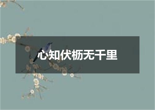 心知伏枥无千里