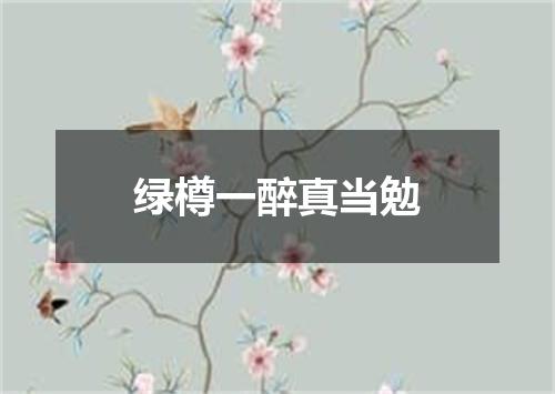 绿樽一醉真当勉