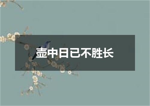 壶中日已不胜长