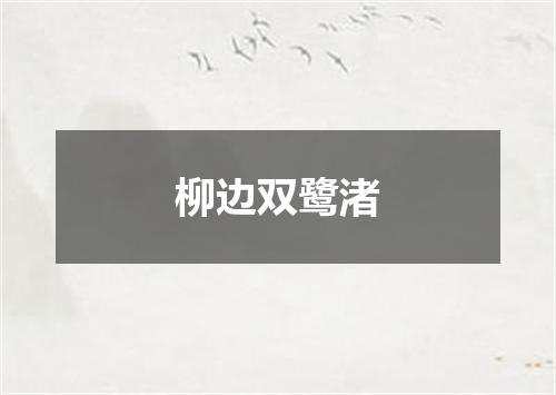 柳边双鹭渚