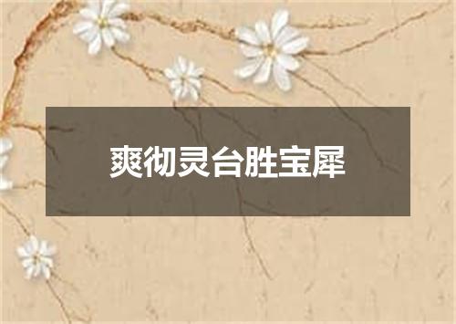爽彻灵台胜宝犀