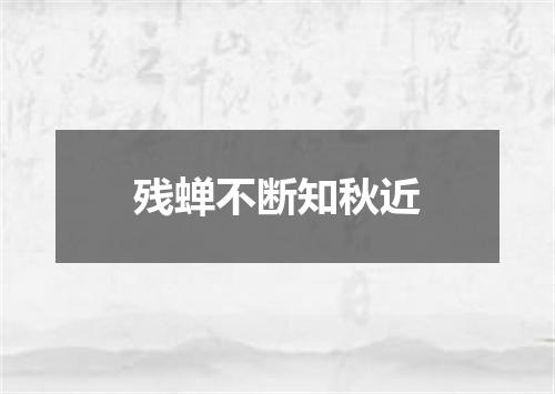 残蝉不断知秋近