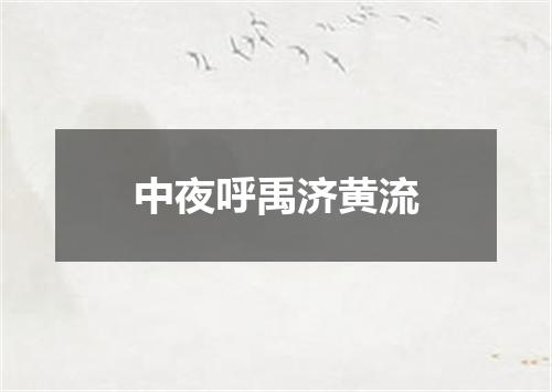 中夜呼禹济黄流