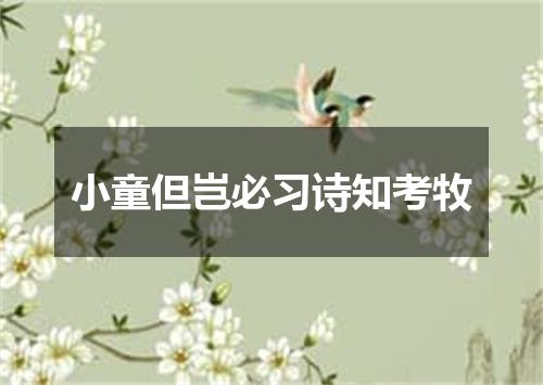 小童但岂必习诗知考牧