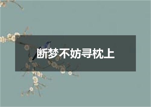 断梦不妨寻枕上