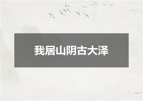 我居山阴古大泽