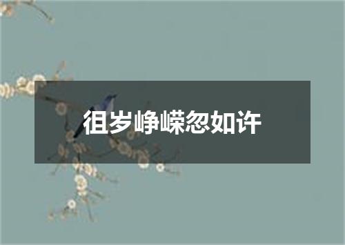 徂岁峥嵘忽如许