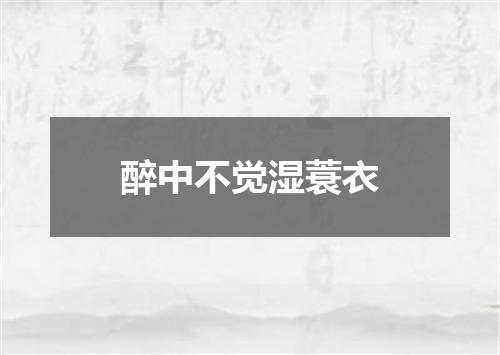 醉中不觉湿蓑衣