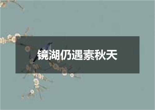 镜湖仍遇素秋天
